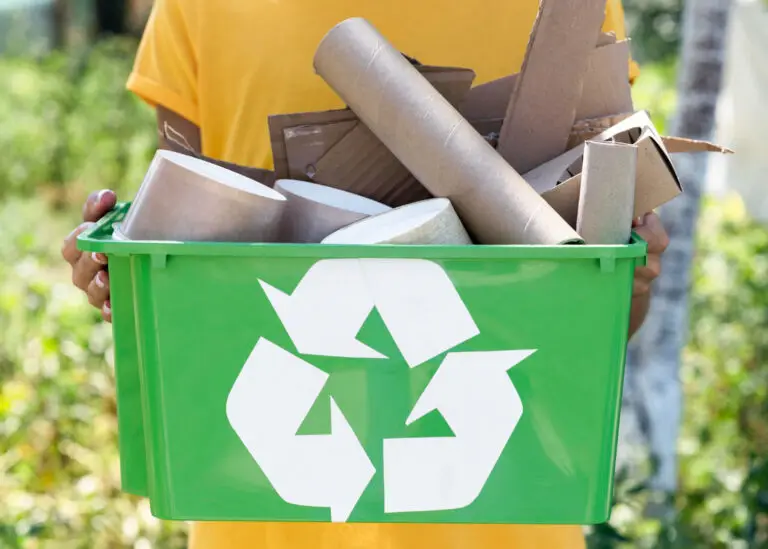 Recycling Rules to Know Before Visiting a Center in Macon