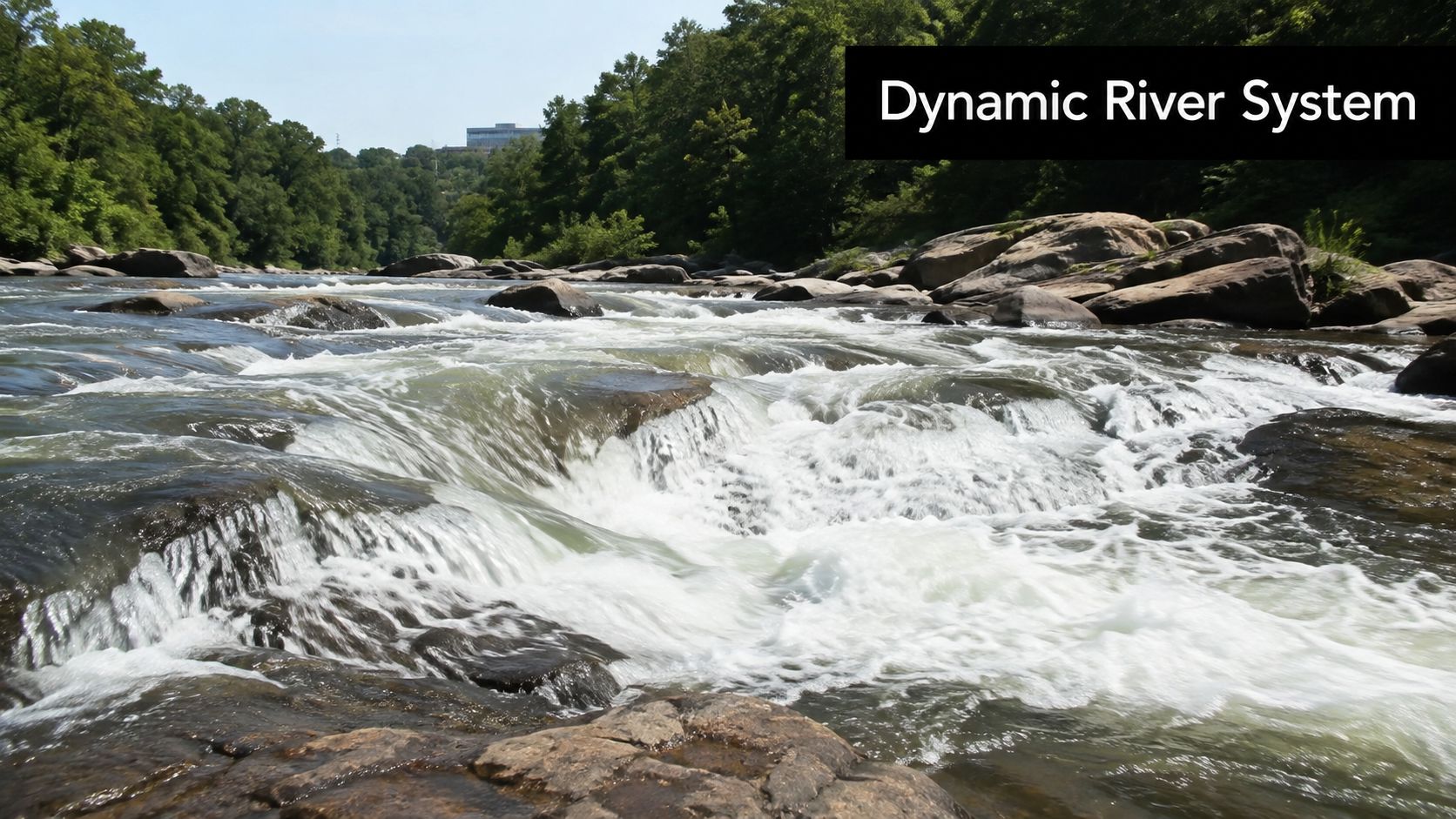 Fast-flowing rapids of the Chattahoochee River with large boulders surrounded by lush green trees on a sunny day