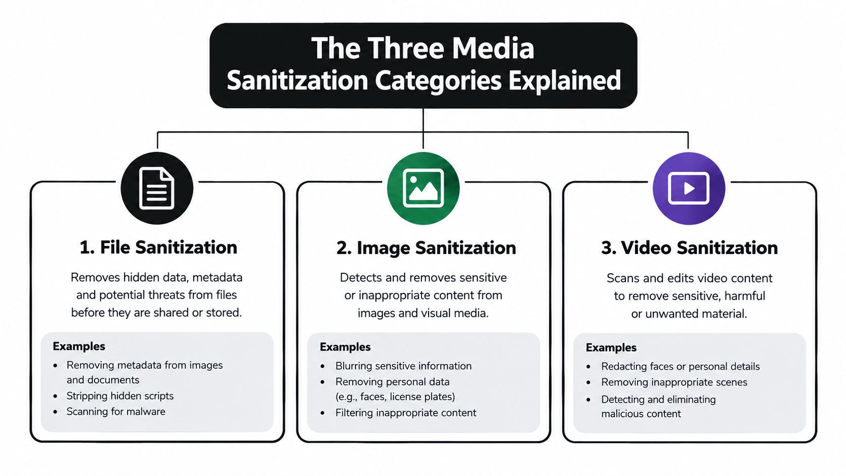 A flowchart explaining the three categories of media sanitization: file, image, and video sanitization processes.